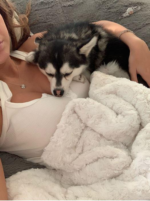 taylor alesia leaked patreon fzjoxf influencers gonewild