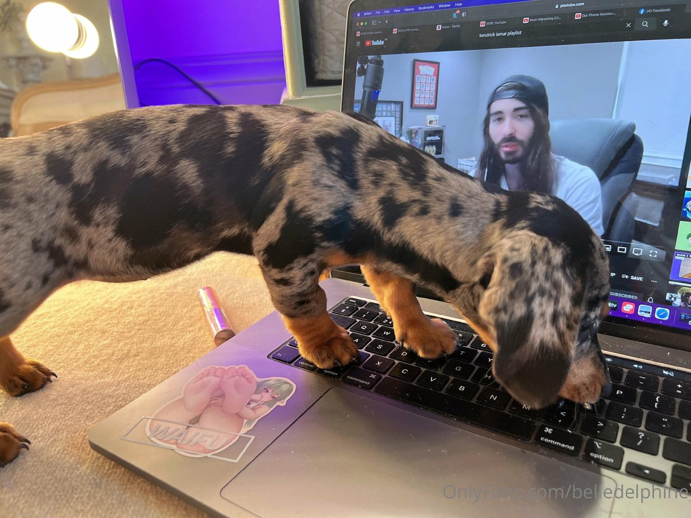 belle delphine and puppy onlyfans set leaked ovwgcw influencers gonewild