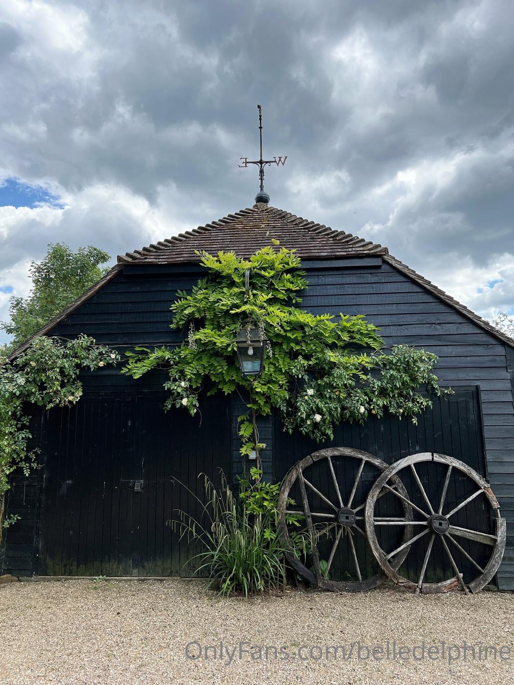 belle delphine pub lunch onlyfans set leaked ilqmvb influencers gonewild